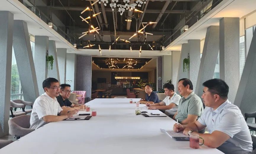 紫金矿业集团副总裁龙翼调研考察权属企业fh至尊凤凰平台